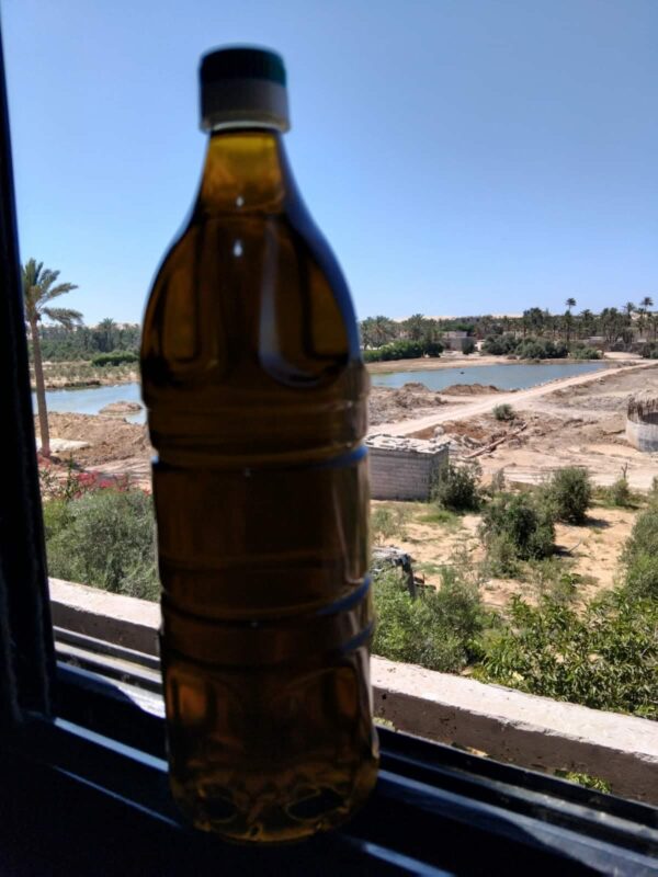 زيت زيتون بكر ممتاز 1/2 لتر