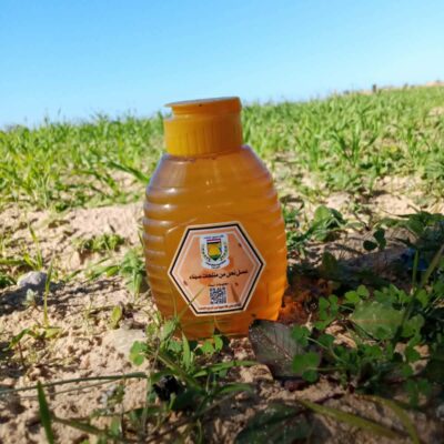 عسل برسيم طبيعي